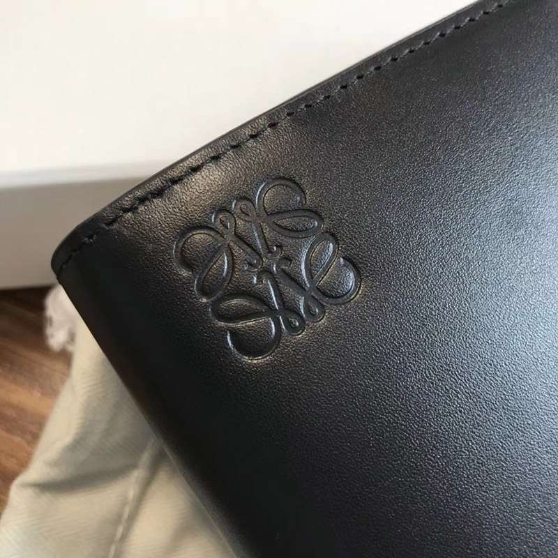 大人気新作 ロエベ 長財布 スーパーコピー loz90859