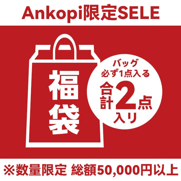 ハイブランド福袋2026★スーパーコピーバッグ・小物2点★