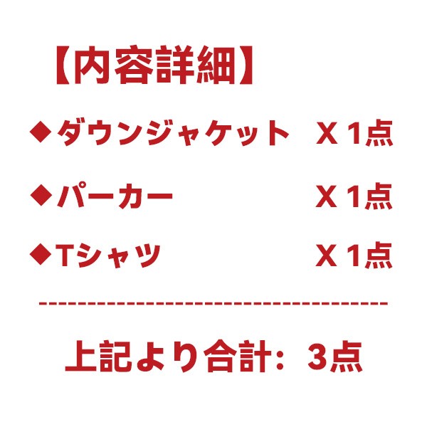 ハイブランド福袋 メンズ 2026★スーパーコピー服(ダウン・パーカー・Tシャツ)3点★