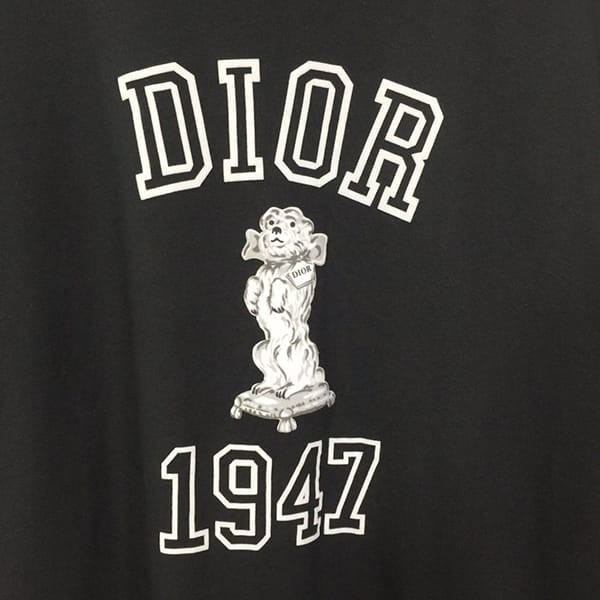ディオール リラックスフィット Bobby Tシャツ フェイク dea93045